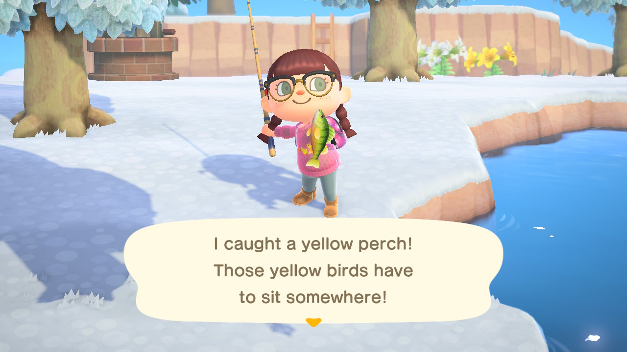 A message appears after my sister catches a yellow perch in *Animal Crossing: New Horizons* (2020).